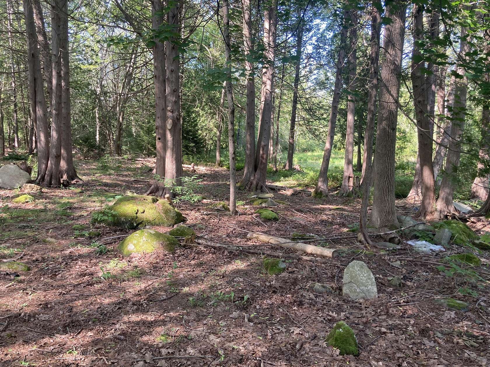 8.6 Acres of Land for Sale in Belfast, Maine