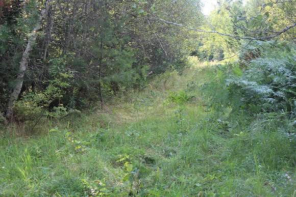 10 Acres of Land for Sale in Sherman, Maine