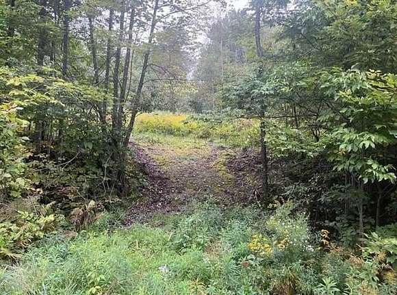 2.79 Acres of Land for Sale in Sebec, Maine