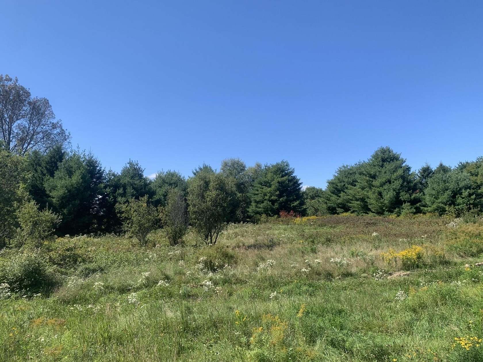 8.6 Acres of Residential Land for Sale in Sherman, Maine