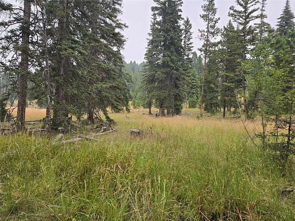 20 Acres of Land for Sale in Goldcreek, Montana