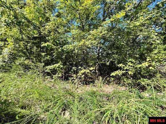 0.41 Acres of Residential Land for Sale in Oakland, Arkansas