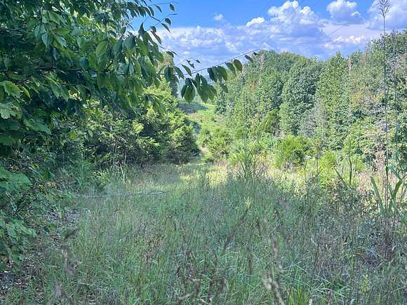 30 Acres of Recreational Land for Sale in Munfordville, Kentucky