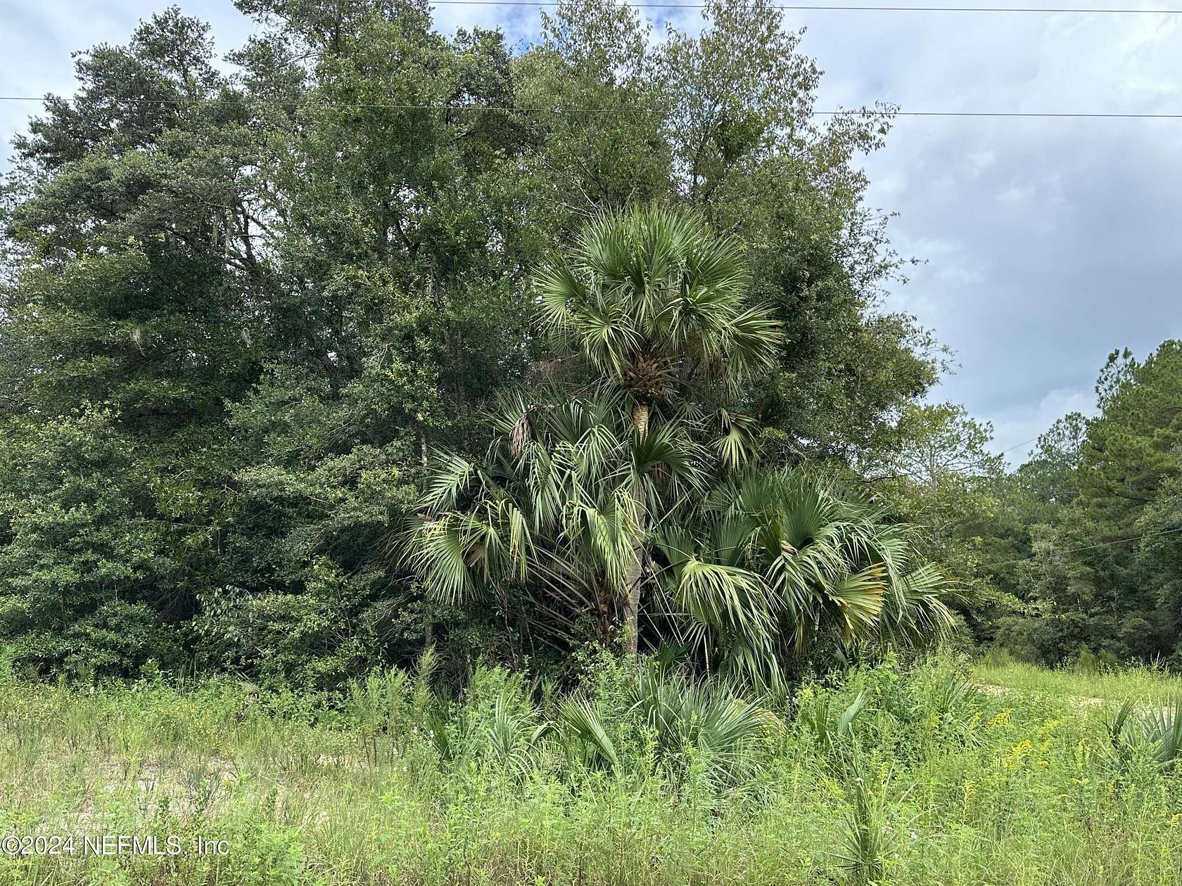 0.44 Acres of Land for Sale in Interlachen, Florida