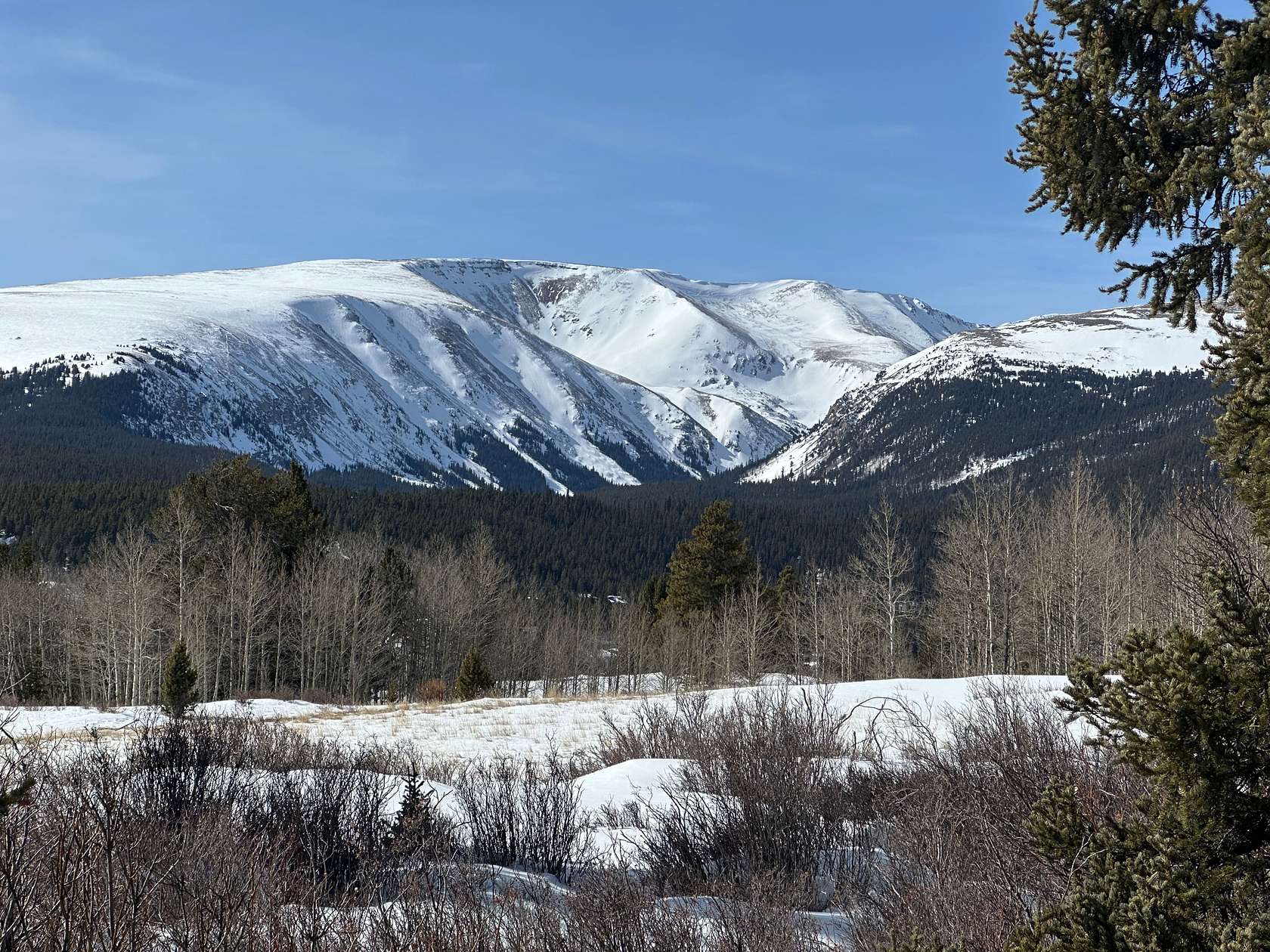 46.97 Acres of Land for Sale in Fairplay, Colorado