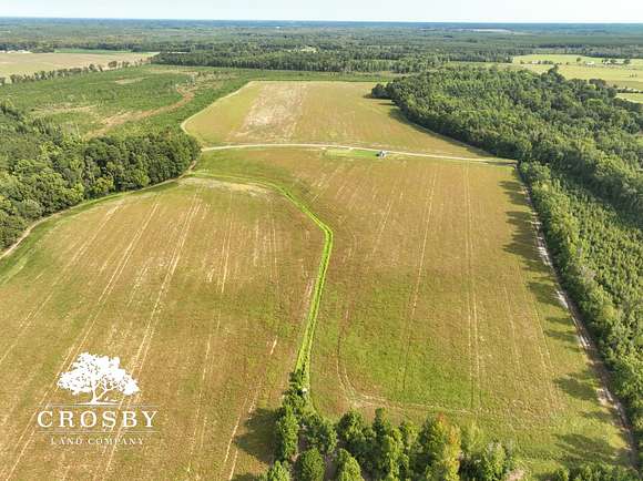 192 Acres of Recreational Land & Farm for Sale in Blenheim, South Carolina