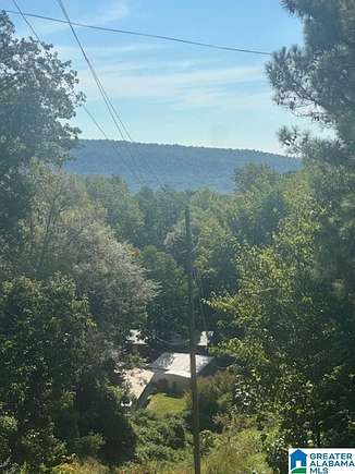 7 Acres of Residential Land with Home for Sale in Birmingham, Alabama