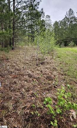 1.49 Acres of Residential Land for Sale in Gray Court, South Carolina