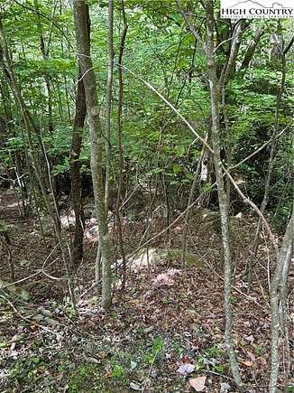 0.45 Acres of Land for Sale in Beech Mountain, North Carolina