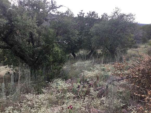 0.98 Acres of Residential Land for Sale in Horseshoe Bay, Texas