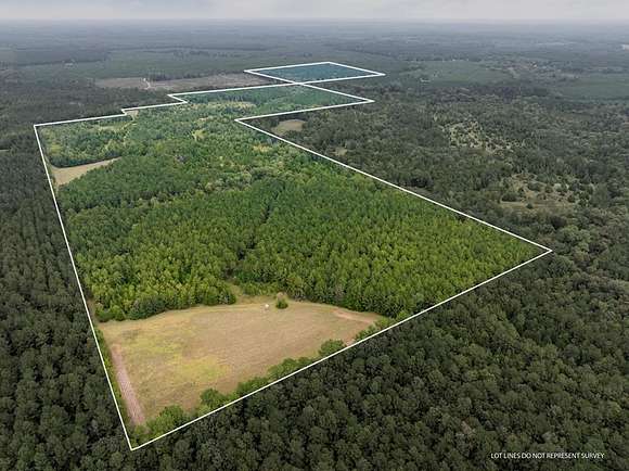 Land for Sale in Pachuta, Mississippi