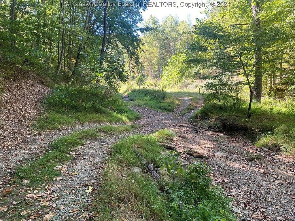 8 Acres of Land for Sale in Griffithsville, West Virginia