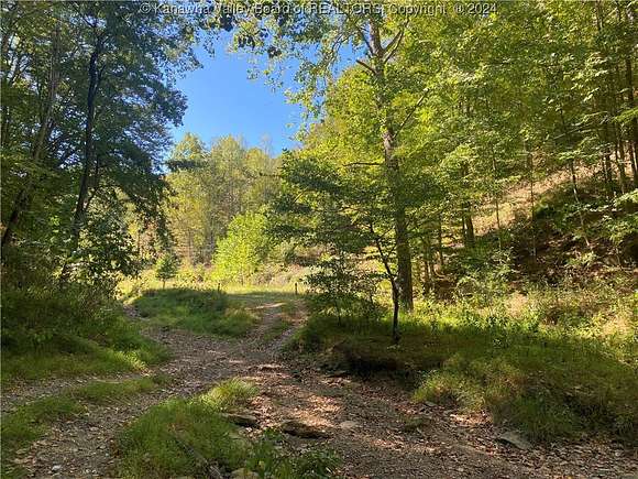 8 Acres of Land for Sale in Griffithsville, West Virginia