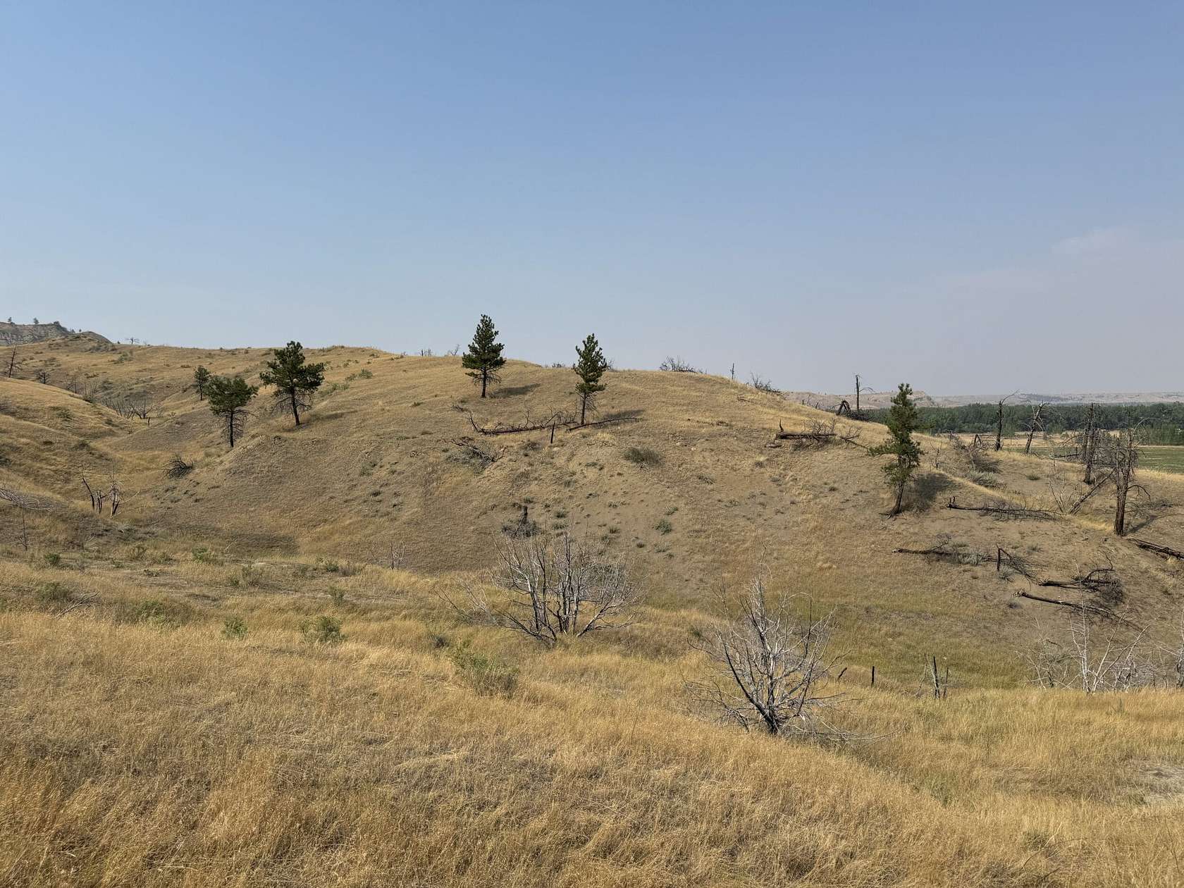 20 Acres of Recreational Land for Sale in Winnett, Montana