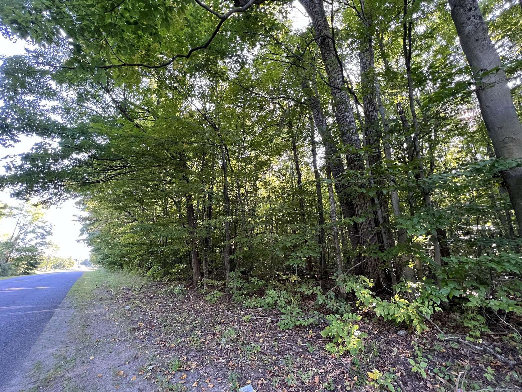 14.24 Acres of Land for Sale in West Chazy, New York