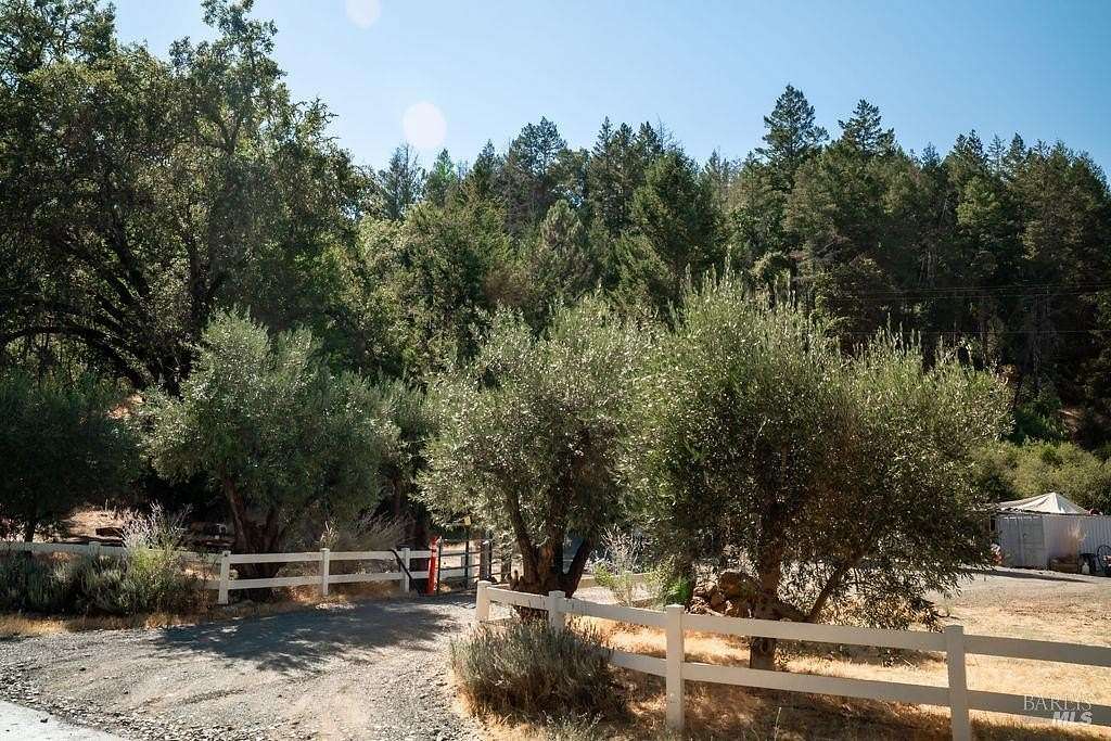 55.5 Acres of Land for Sale in St. Helena, California