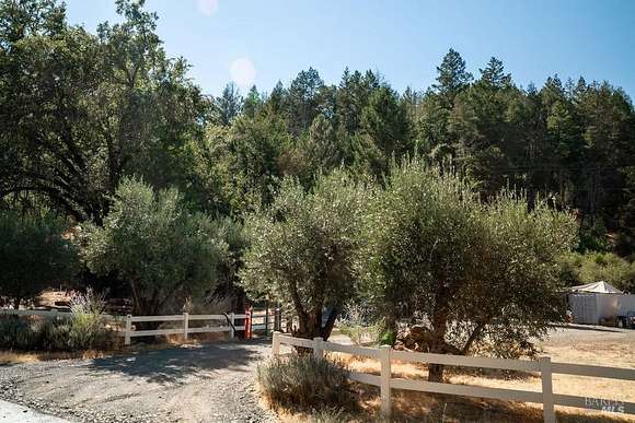 55.5 Acres of Land for Sale in St. Helena, California