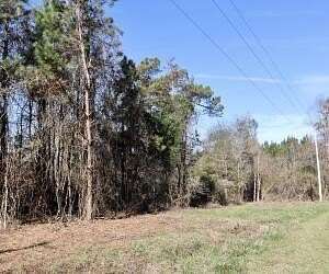 6.02 Acres of Residential Land for Sale in Harleyville, South Carolina