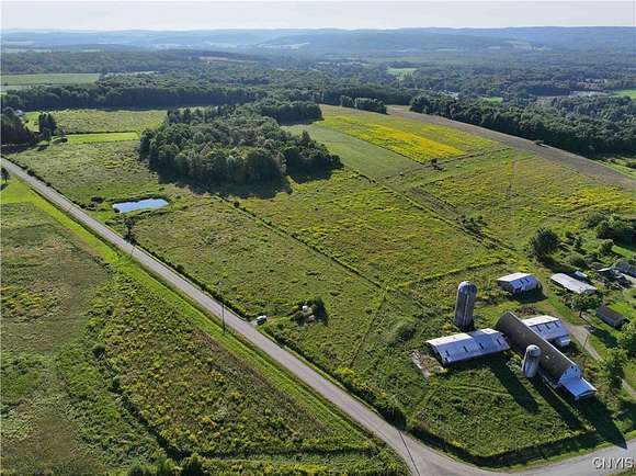 54.2 Acres of Land with Home for Sale in Poland Town, New York