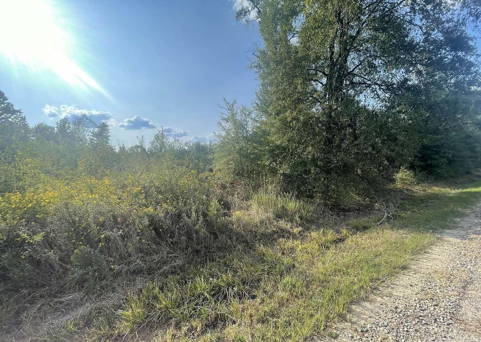 20 Acres of Recreational Land for Sale in Searcy, Arkansas