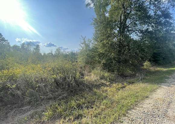 20 Acres of Recreational Land for Sale in Searcy, Arkansas