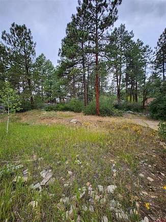 0.14 Acres of Residential Land for Sale in Durango, Colorado