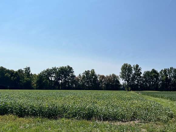 37.121 Acres of Agricultural Land for Sale in Clay Township, Ohio