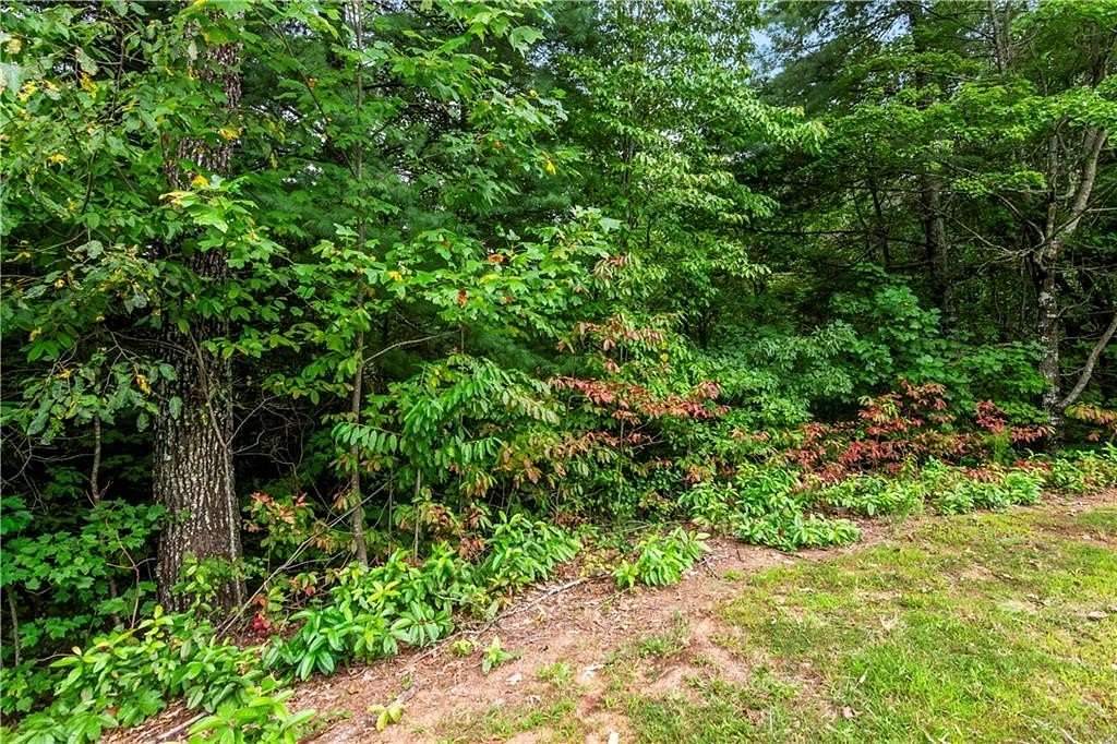 2.9 Acres of Residential Land for Sale in Ellijay, Georgia