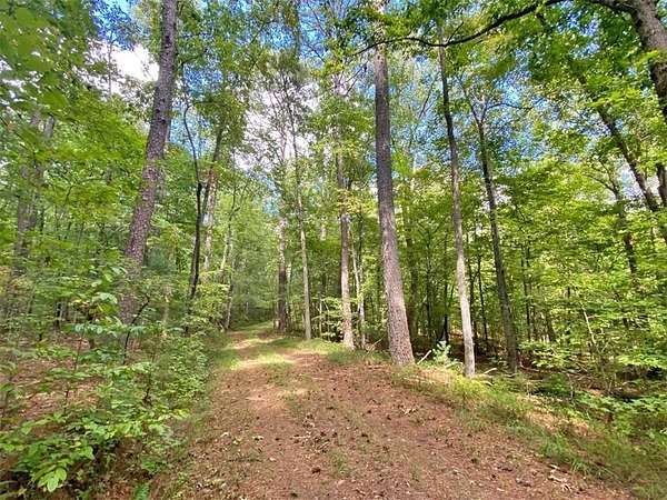 153 Acres of Recreational Land for Sale in Ellijay, Georgia