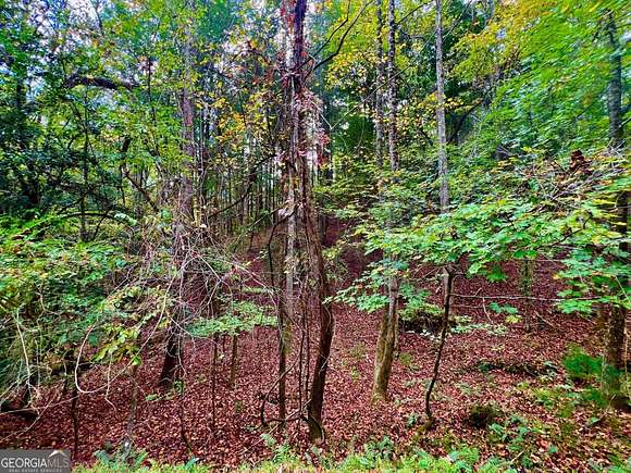 0.59 Acres of Residential Land for Sale in Rockmart, Georgia