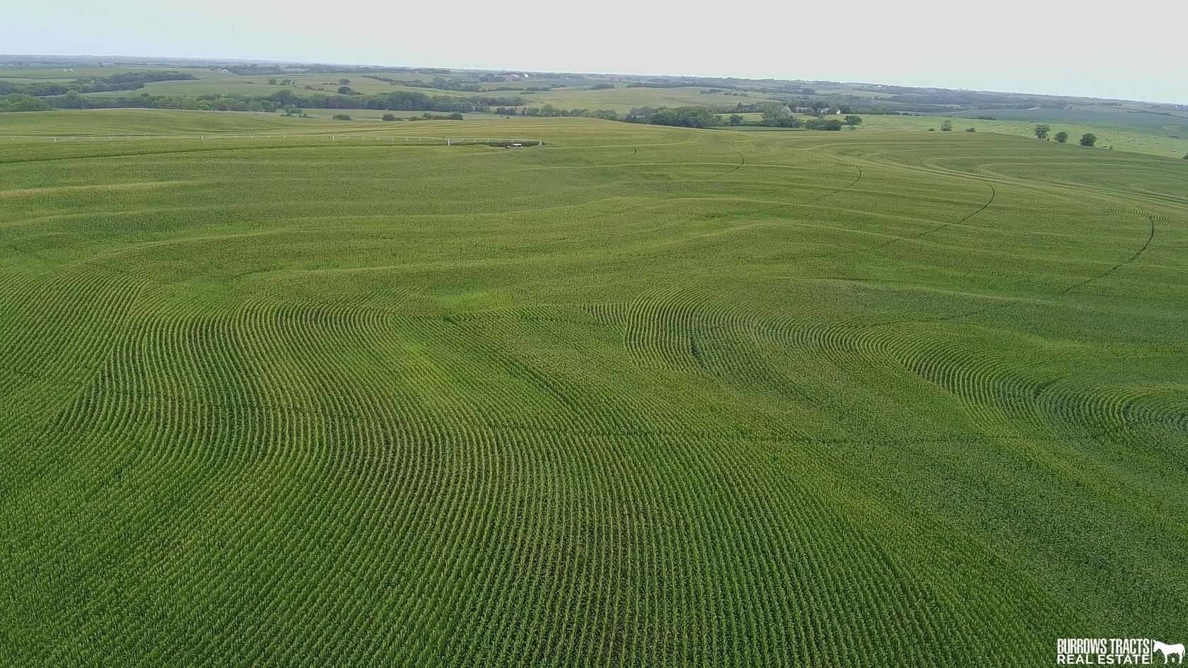 147.53 Acres of Agricultural Land for Auction in Sterling, Nebraska