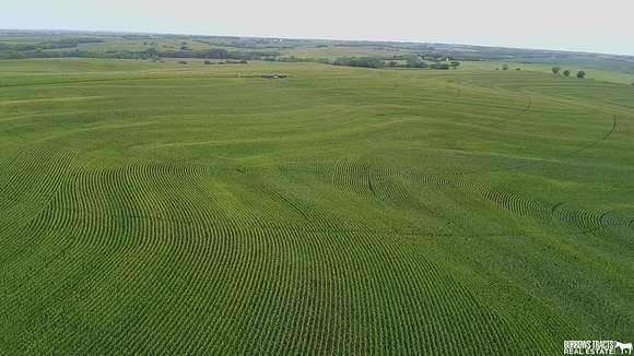 147.53 Acres of Agricultural Land for Auction in Sterling, Nebraska