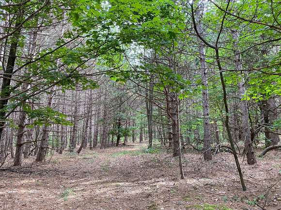 5.01 Acres of Residential Land for Sale in Frankfort, Michigan