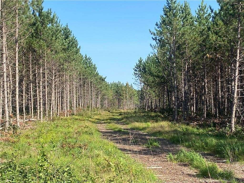 40 Acres of Recreational Land for Sale in Barnes Town, Wisconsin