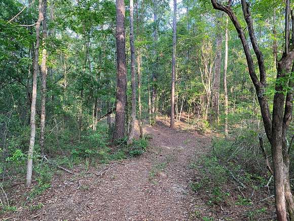 107.3 Acres of Recreational Land for Sale in Lumberton, Mississippi