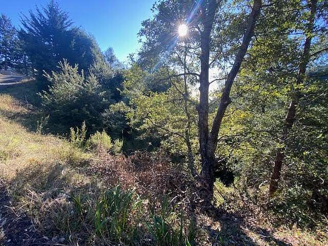 0.26 Acres of Residential Land for Sale in Whitethorn, California