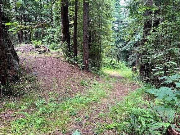 2.2 Acres of Residential Land for Sale in Kneeland, California