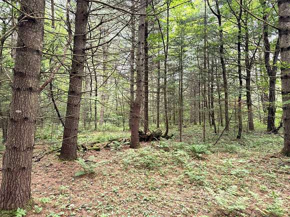 20.02 Acres of Recreational Land for Sale in Stratford, New York