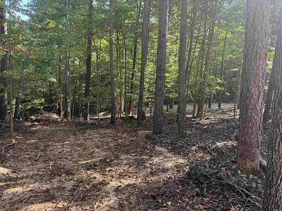 1 Acre of Residential Land for Sale in Yellville, Arkansas