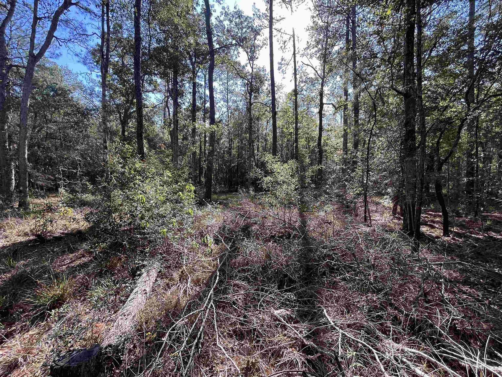 2.2 Acres of Residential Land for Sale in Kirbyville, Texas