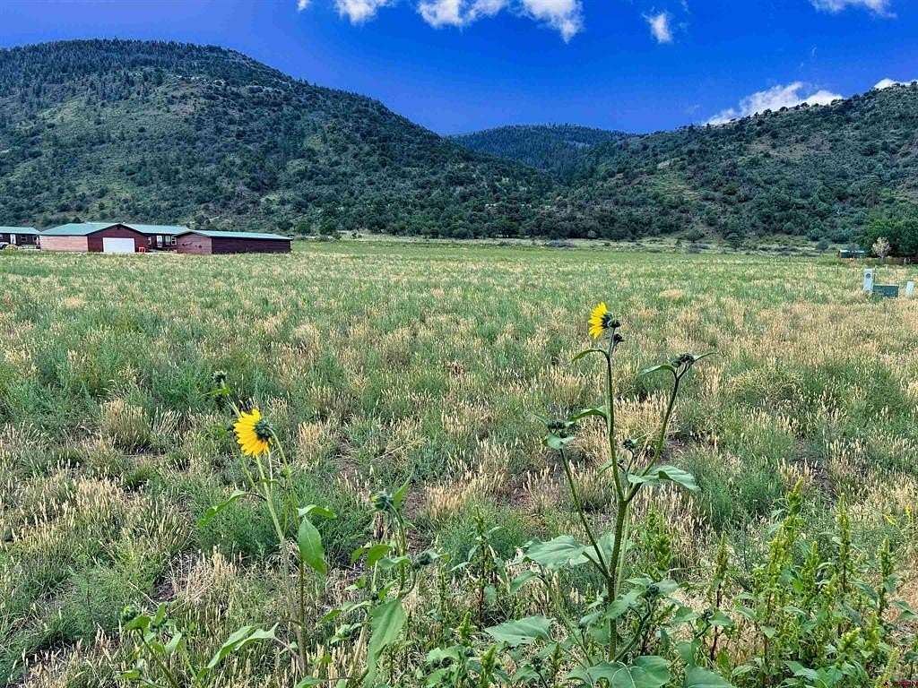 3.05 Acres of Residential Land for Sale in South Fork, Colorado