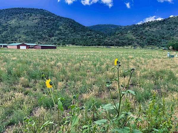 3 Acres of Land for Sale in South Fork, Colorado