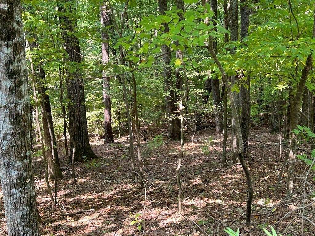 1.15 Acres of Land for Sale in Ellijay, Georgia