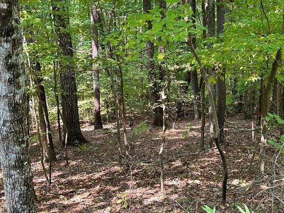 1.15 Acres of Land for Sale in Ellijay, Georgia