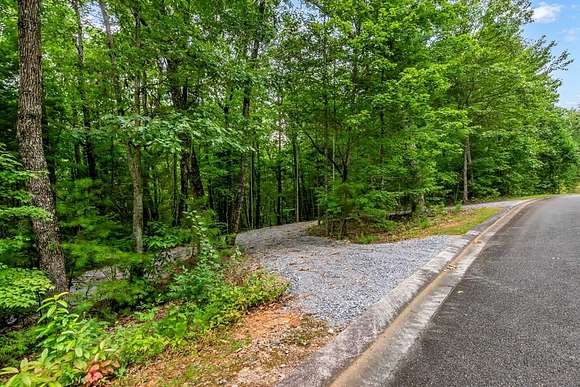 6.04 Acres of Residential Land for Sale in Ellijay, Georgia