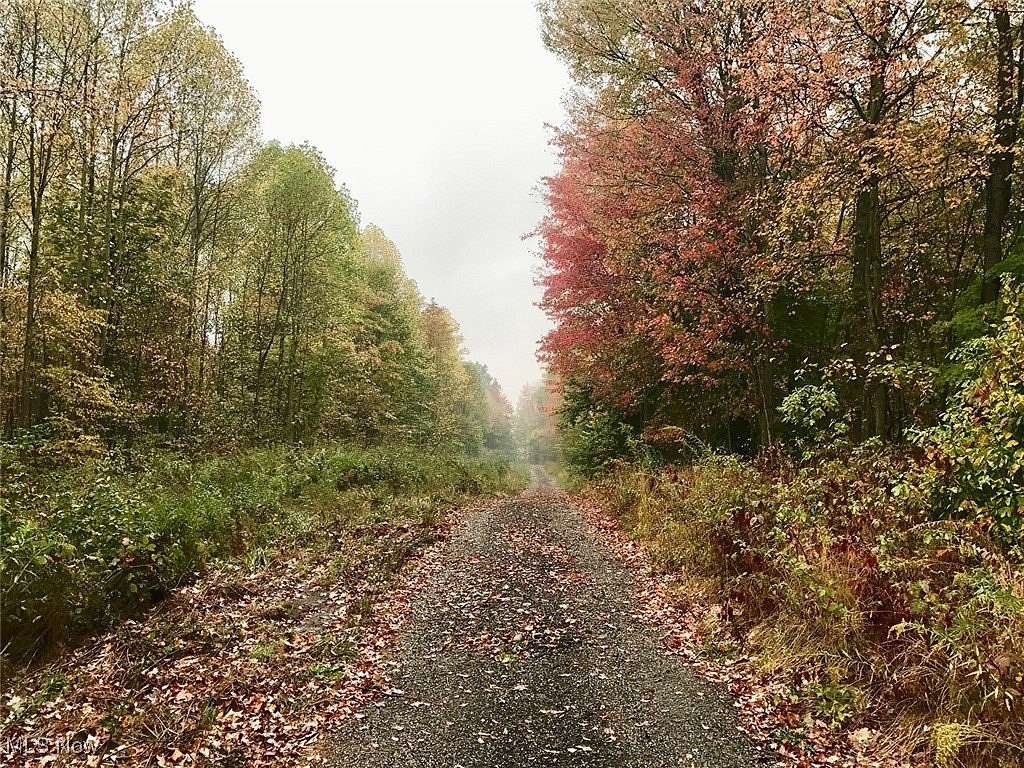 51.2 Acres of Recreational Land for Sale in Garrettsville, Ohio