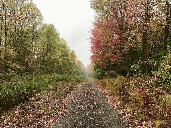 46.8 Acres of Recreational Land for Sale in Garrettsville, Ohio