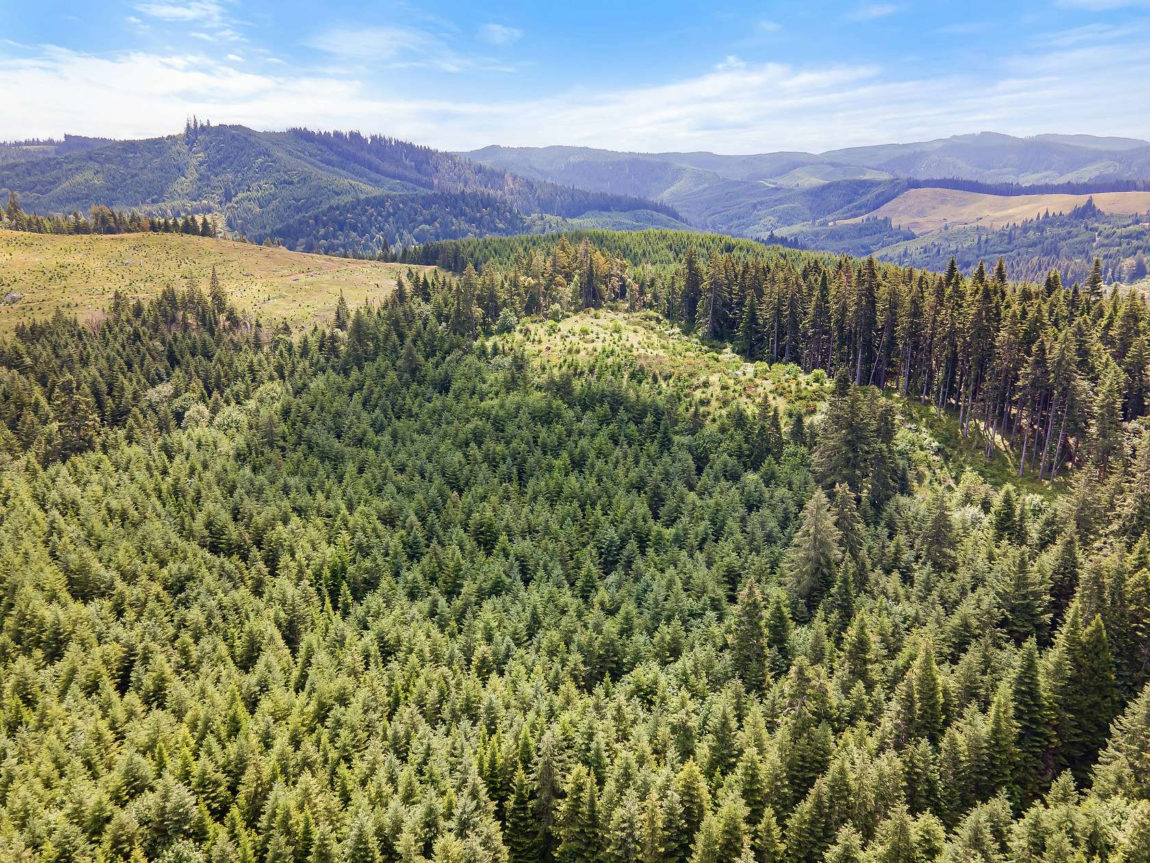 38 Acres of Recreational Land for Sale in Curtin, Oregon