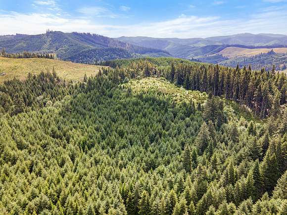 38 Acres of Recreational Land for Sale in Curtin, Oregon