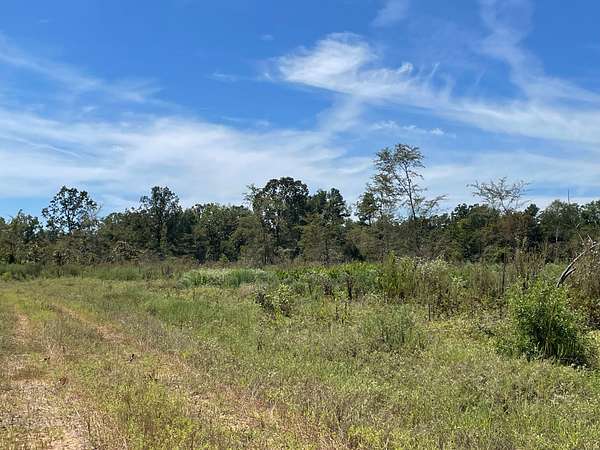 72 Acres of Recreational Land for Sale in Bagwell, Texas